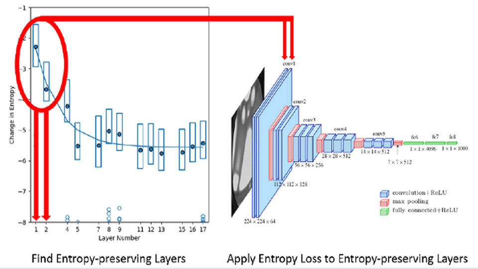 Entropy guidance diagram for controlling neural representations